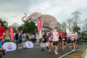 BIB: 
                            <button type="button" onclick="openModal(26528339)" class="btn btn-primary btn-sm float-right btn-popup" data-toggle="modal" data-target=".modal-high-quality">
                        <i class="fas fa-shopping-cart"></i> Add to Cart
                    </button>
                                            <button type="button" onclick="isThisMe(26528339, true)" class="btn btn-success btn-sm float-right btn-popup btn-isme hidden" data-toggle="tooltip" data-placement="bottom" title="นี่คือรูปของคุณใช่ไหม คลิกที่นี่เพื่อเอาเข้าอัลบั้ม">
                        <i class="fas fa-plus"></i> Add to album
                    </button>
                    <button type="button" onclick="isThisMe(26528339, false)" class="btn btn-warning btn-sm float-right btn-popup btn-isnotme hidden">
                        <i class="fas fa-ban"></i> Remove from album
                    </button>